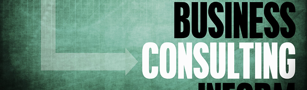 web-consulting